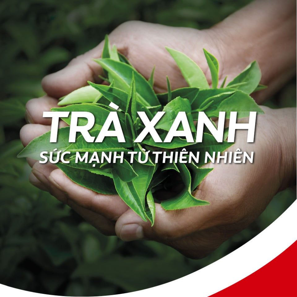 Colgate Toothpaste Green Tea - Kem Đánh Răng Colgate Trà Xanh - 180g x 3 pack