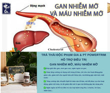 Load image into Gallery viewer, Viên Đốt Mỡ - Viên Giảm Cân Phạm Gia - PT Powetrim Pham Gia - Pham Gia Gold 3+ weight loss pills (45 pills)
